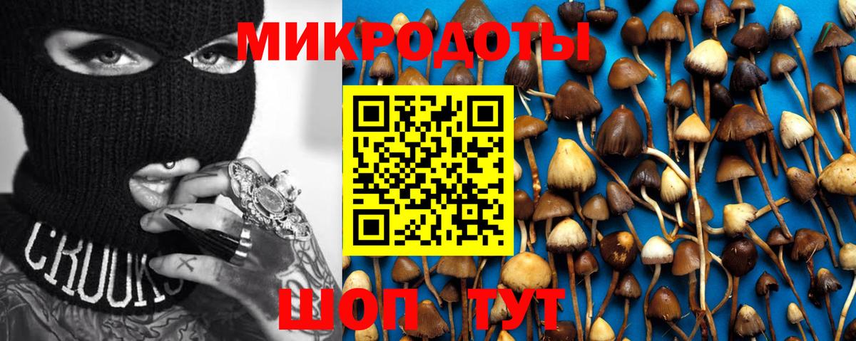 где продают   Вход с VPN  Воскресенск  Псилоцибиновые грибы Cubensis 