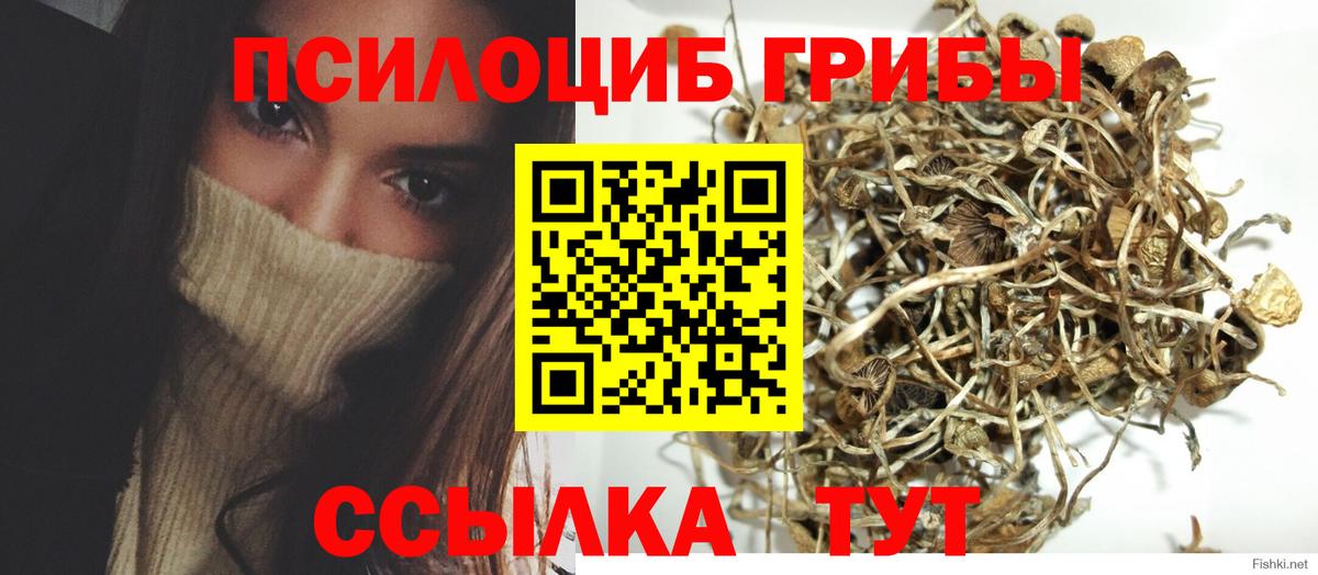 Галлюциногенные грибы мухоморы Воскресенск